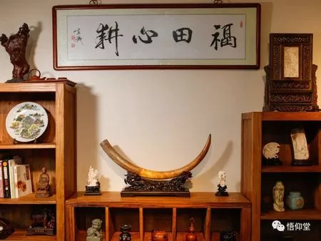 猛犸牙|猛犸象牙雕|猛犸象牙吊坠|猛犸象牙价格|猛犸牙摆件|猛犸牙真假