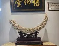 猛犸牙|猛犸象牙雕|猛犸象牙吊坠|猛犸象牙价格|猛犸牙摆件|猛犸牙真假